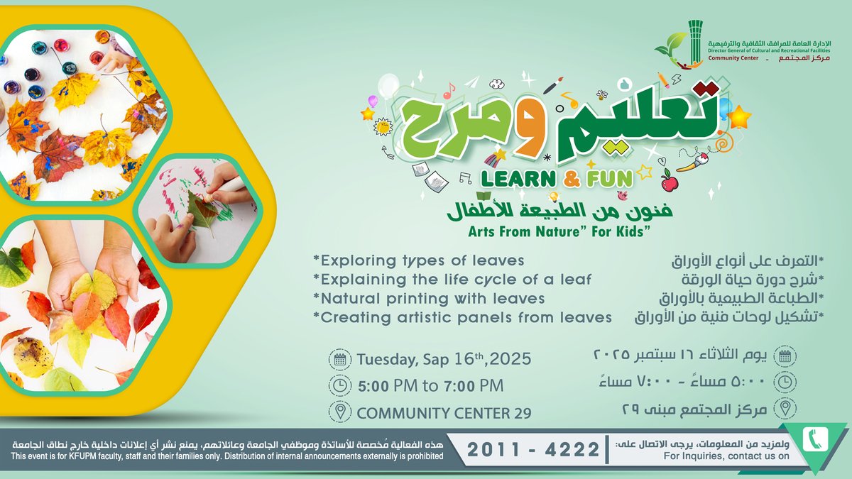 Learn and Fun